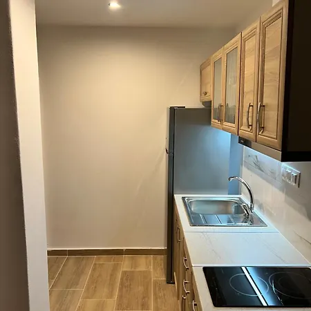 شقة فندقية Nick